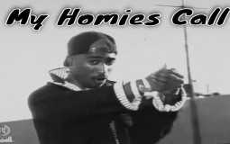 Les plus grand tubes de Bonniel